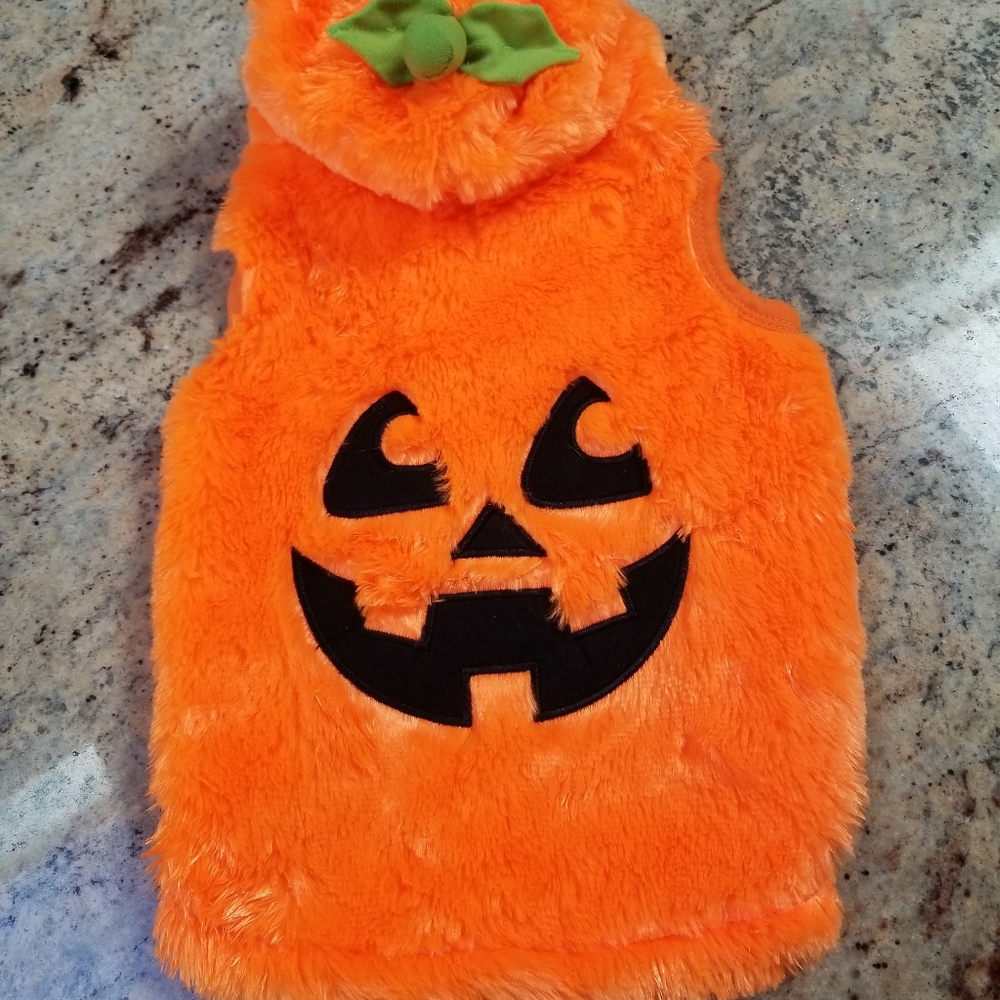 Dog Halloween costume